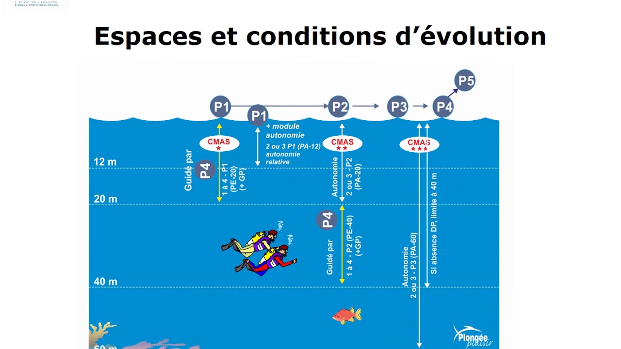 Plongeur N4 - Cours #7 - R&eacute;glementation