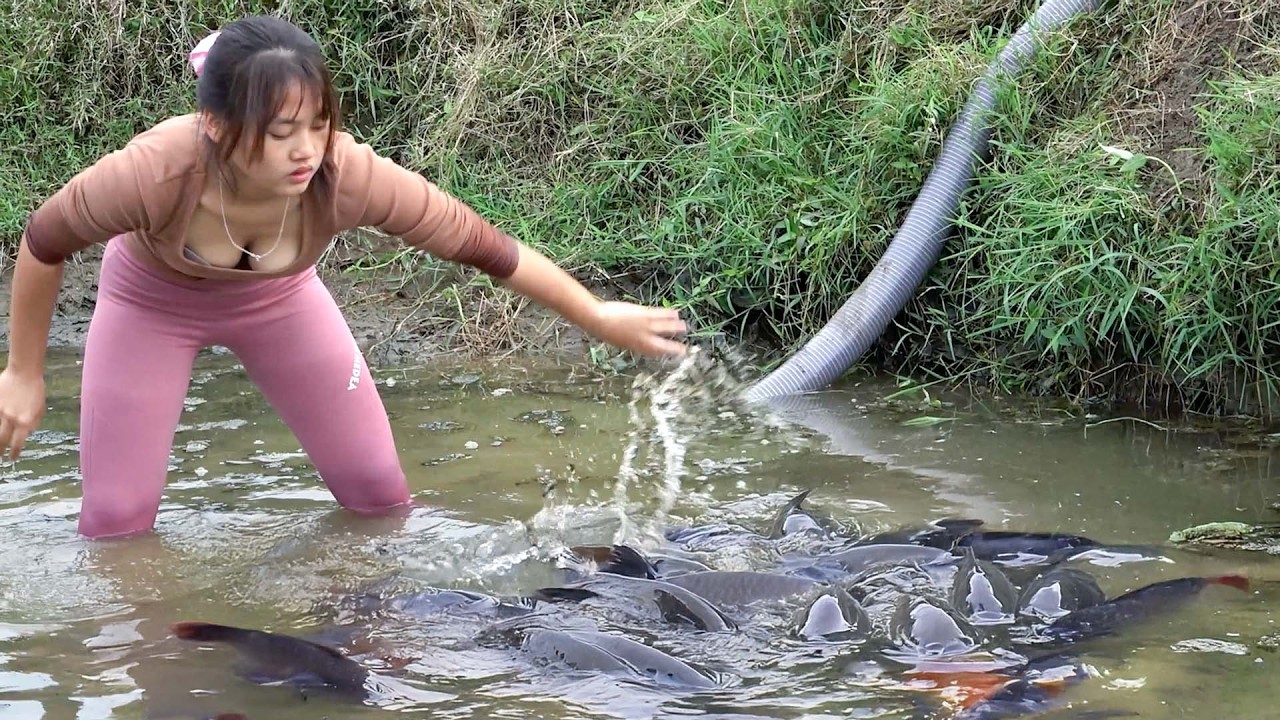 Most Effective Fishing Techniques: Wow! Amazing Polo Fishing, Harvest Giant Fish | Nguyet Fishing