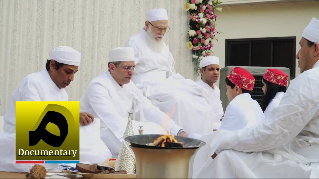 مستند: شیر و شکر
