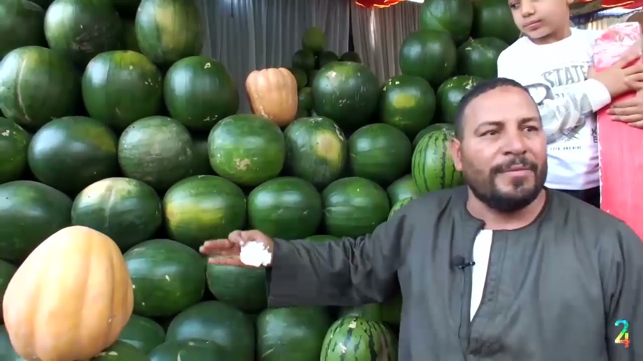 موسم البطيخ الصيفي