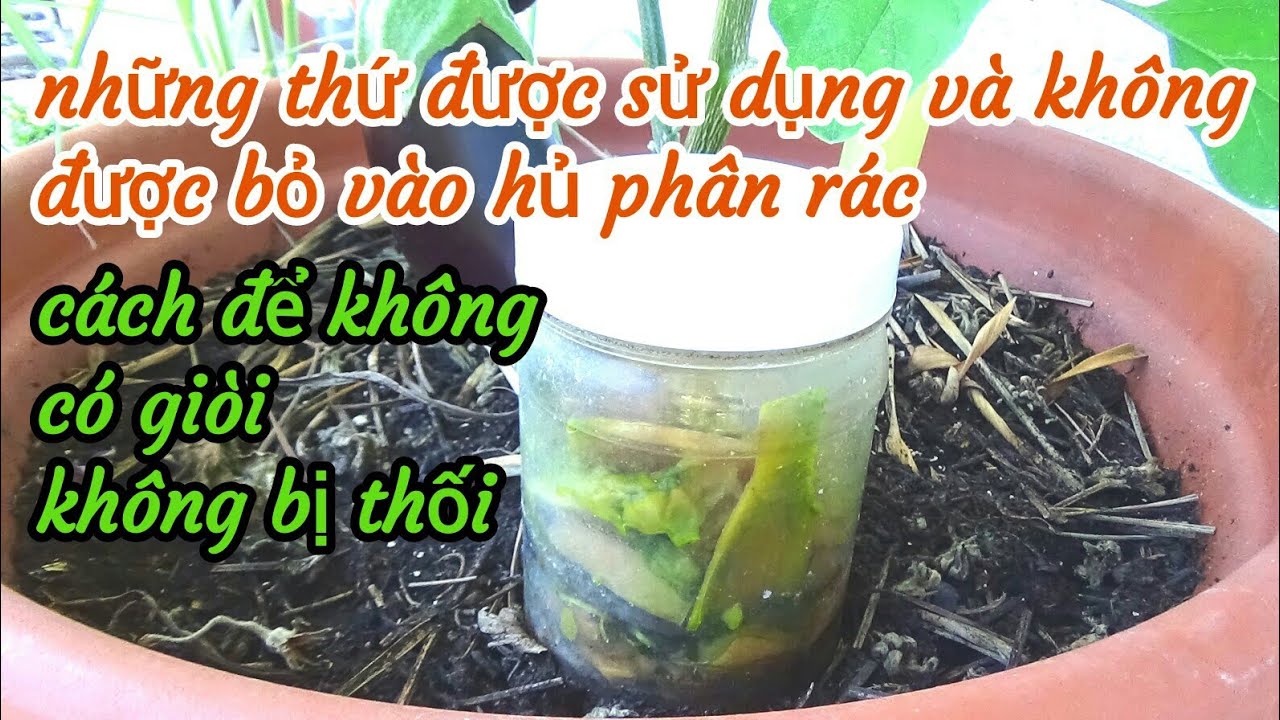 Cách sử dụng hủ phân rác đúng cách để không có giòi và không bốc mùi thối