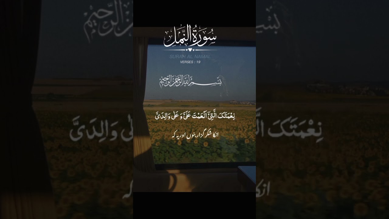 #relaxing #surah114 #islamicnasheed #unfrezzmyaccount #fullqurantranslation #islamicsinger #duet