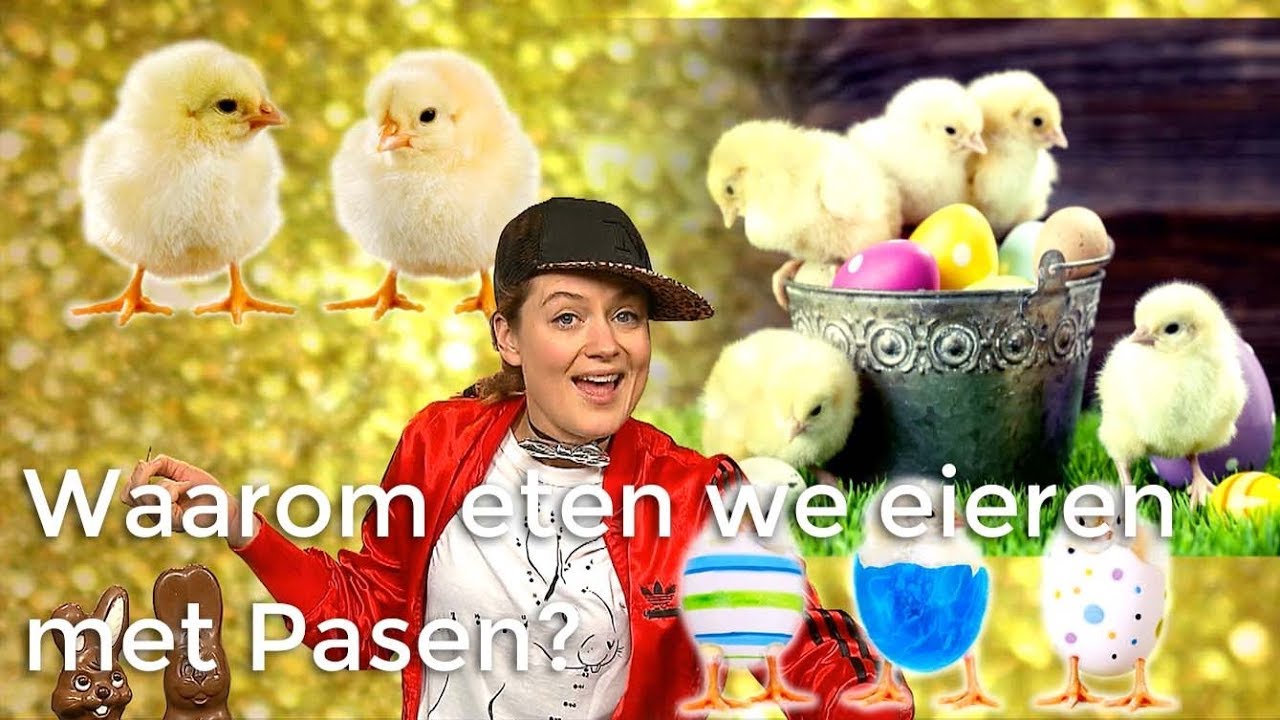 Waarom eten we eieren met Pasen? | Waarom? Daarom! | Het Klokhuis