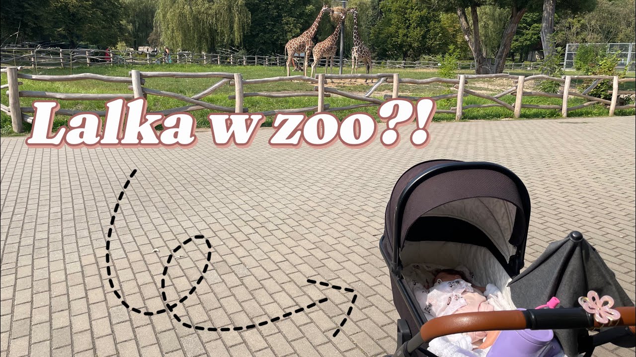 ODC 2 // lalka w zoo? 