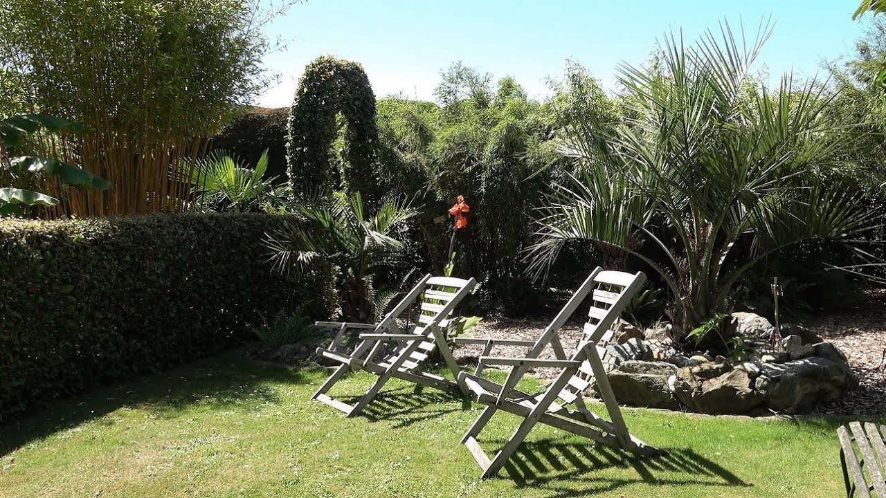 Amazing Private Tropical Garden, Kattendijke, the Netherlands