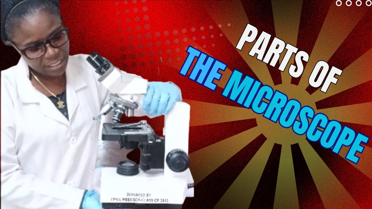 MICROSCOPY: Parts of a Compound Microscope and Their Individual Functions