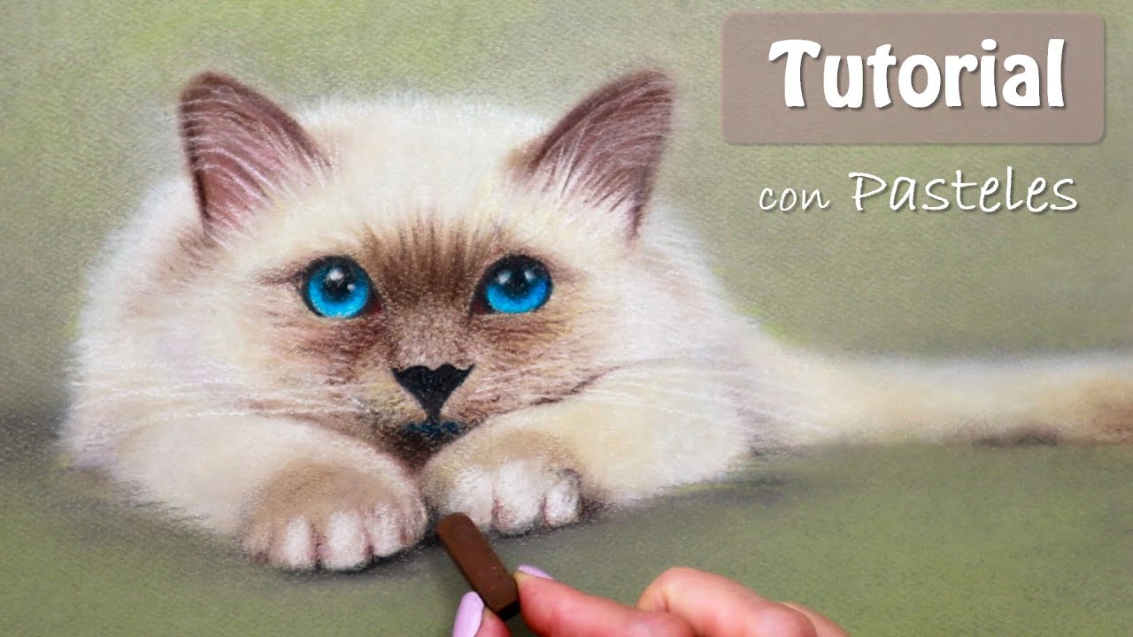 Cómo dibujar un gato con PASTELES SECOS