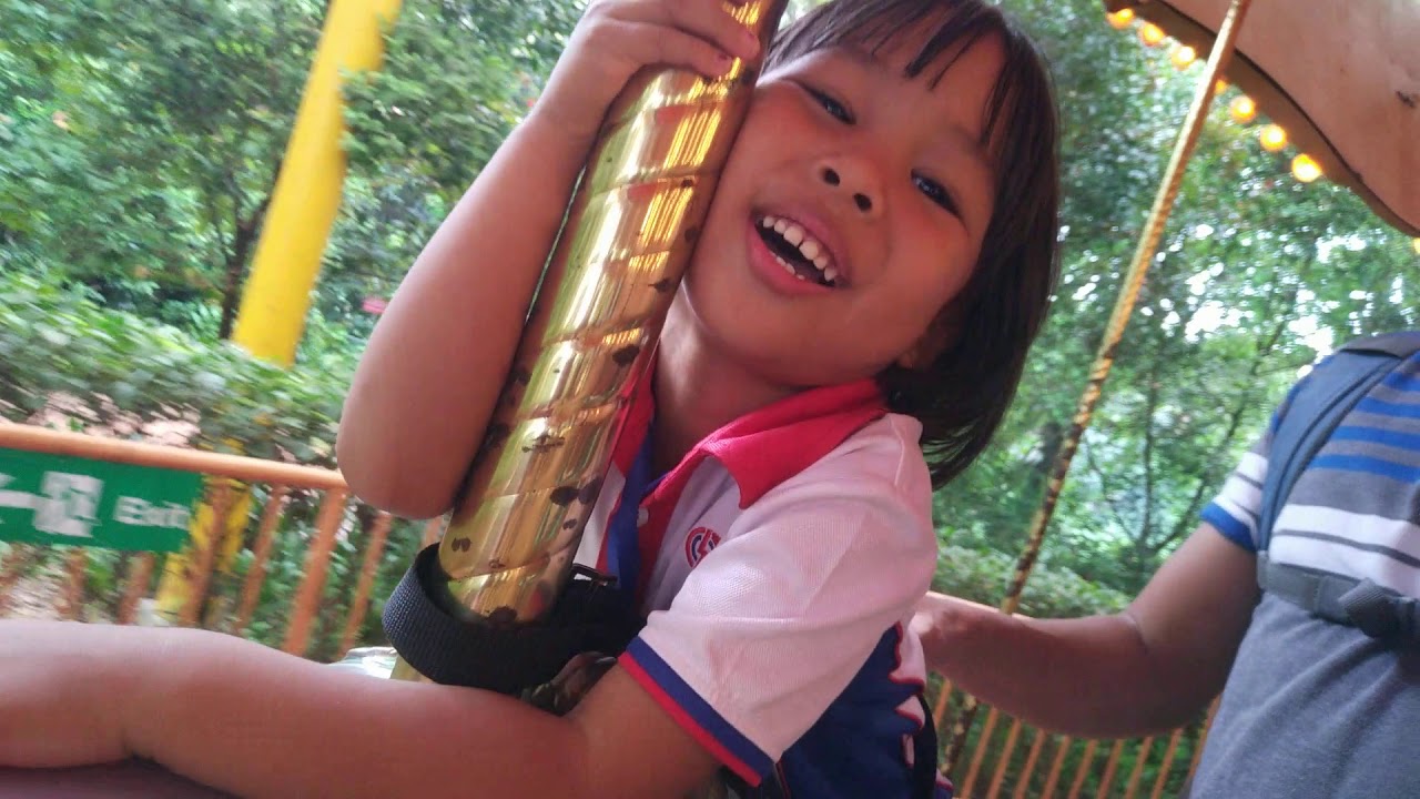 Singapore Zoo Carousel