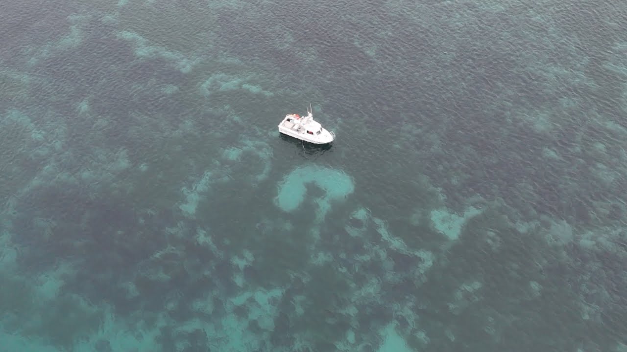 Super Shallow Water