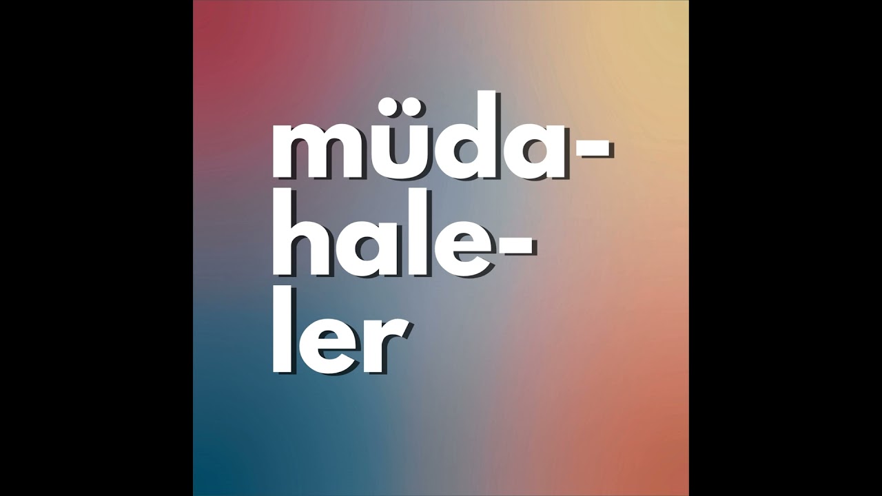 17: Sıcakkanlı Duygusallar, Soğukkanlı Rasyoneller