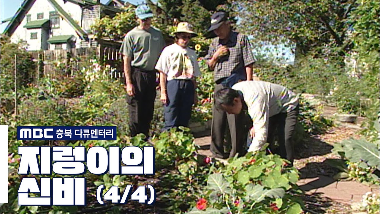 [MBC충북 다큐멘터리] 지렁이의 신비 (4/4)