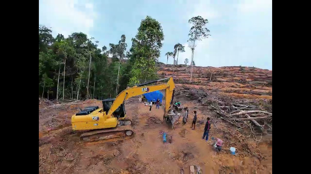 Survei lokasi sawit ❌Ngecek spot paling sejuk buat mikir hidup ✅😂🌴”