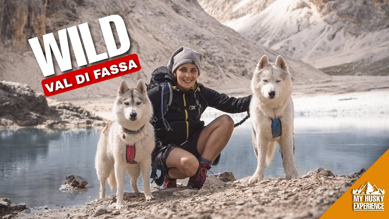 Scalata al Lago di Antermoia dalla Val Udai con due Husky