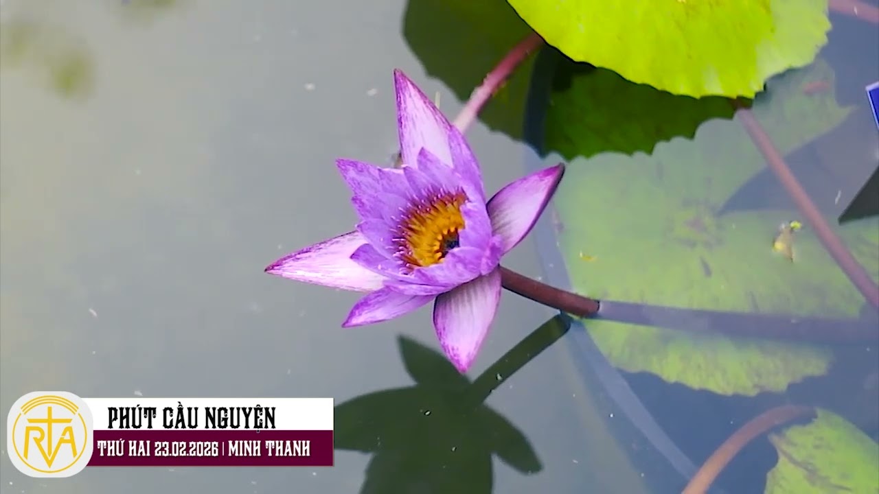 Phút Cầu Nguyện, Thứ Hai 23/02/2026: Mùa Chay - hành trình trở về với nguồn sống