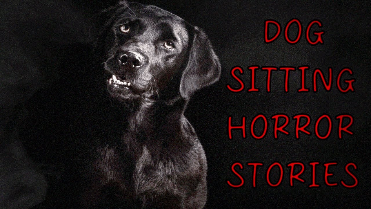 3 Allegedly TRUE Dog Sitting Horror Stories