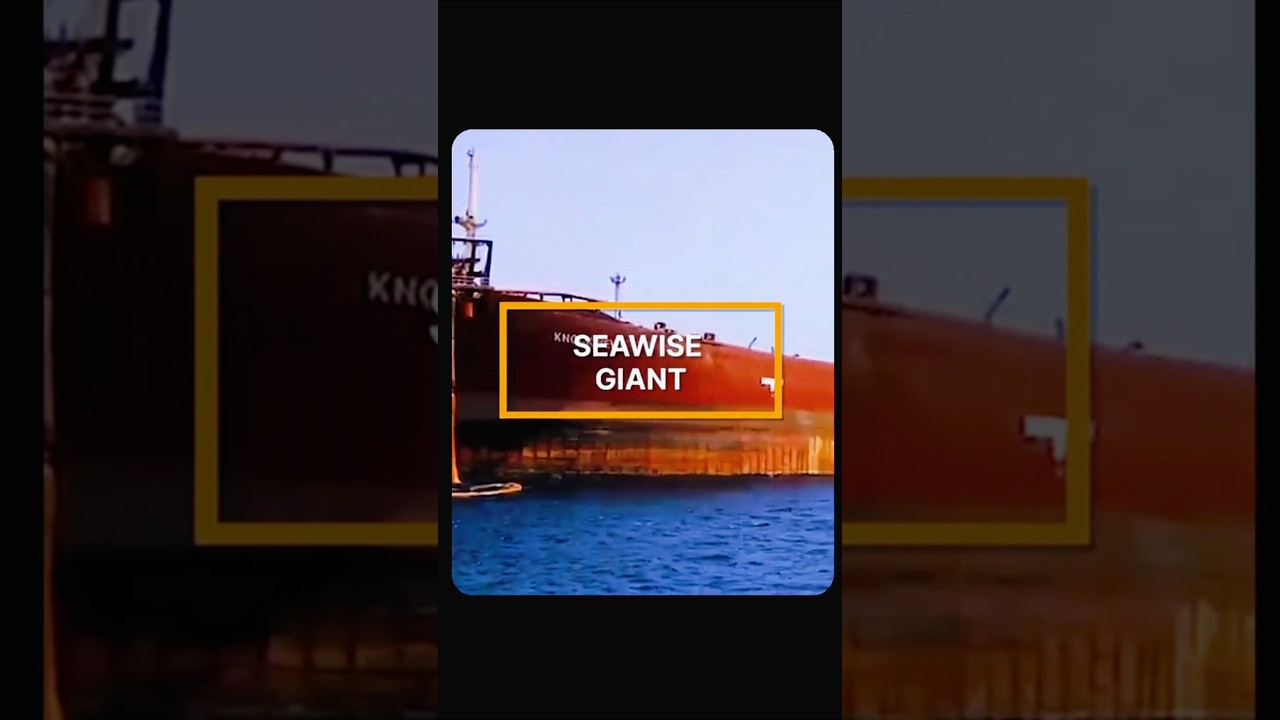 The world&rsquo;s largest ship|| too big to dock at most ports #shorts @egyex