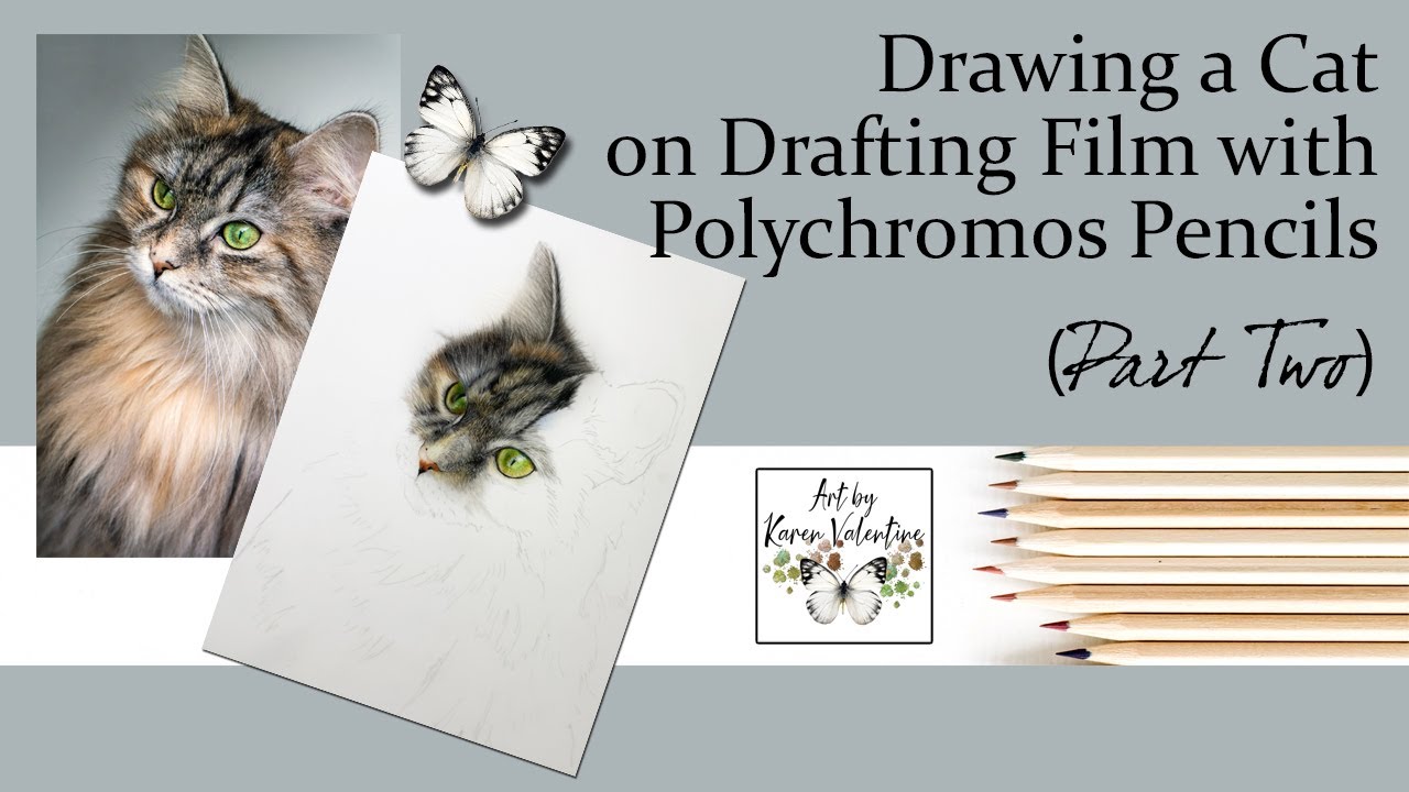 Drawing a Cat on Drafting Film with Polychromos Pencils *Part Two*