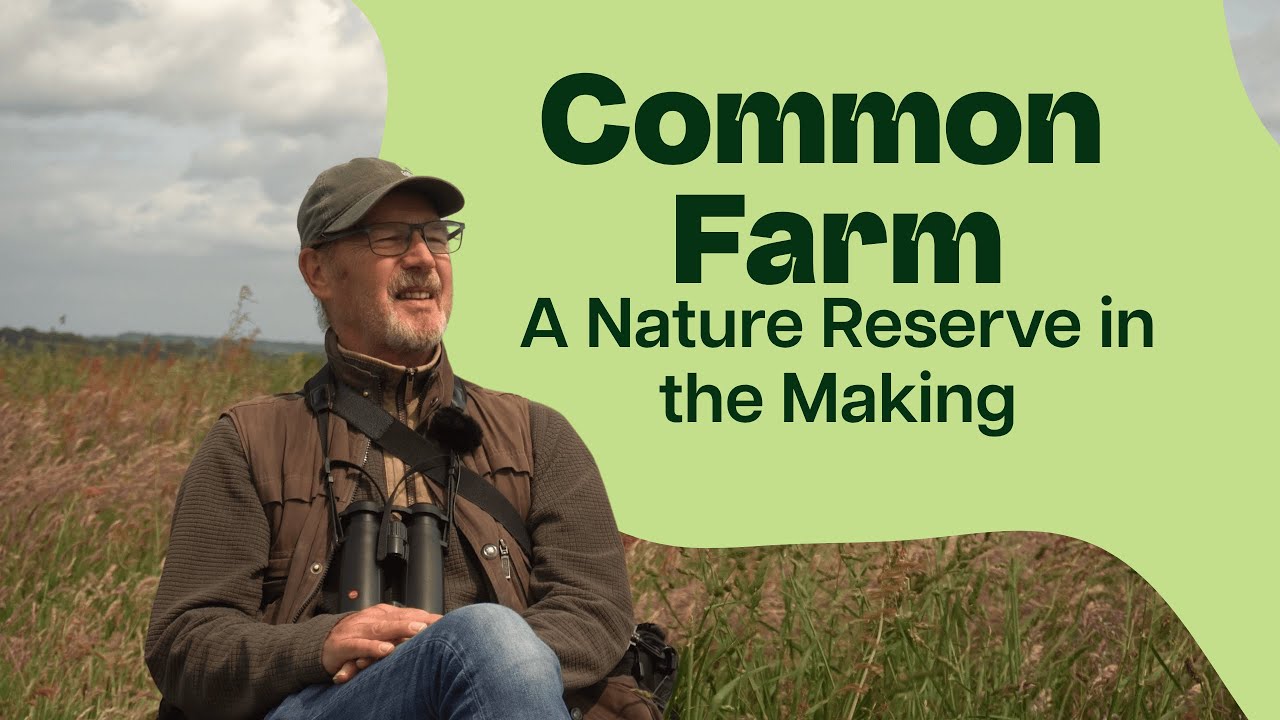 Creating a New Nature Reserve  - Common Farm