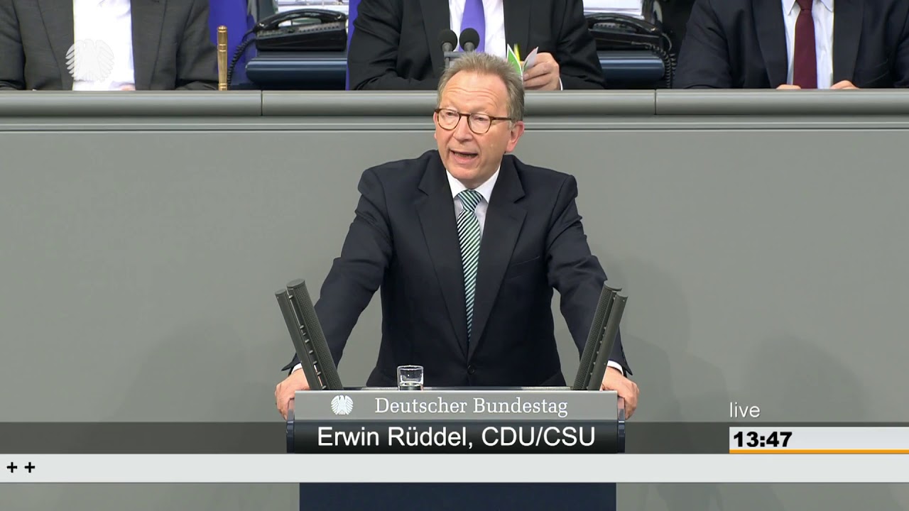 Erwin R&uuml;ddel: Gesetzliche und private Krankenversicherung [Bundestag 11.04.2019]
