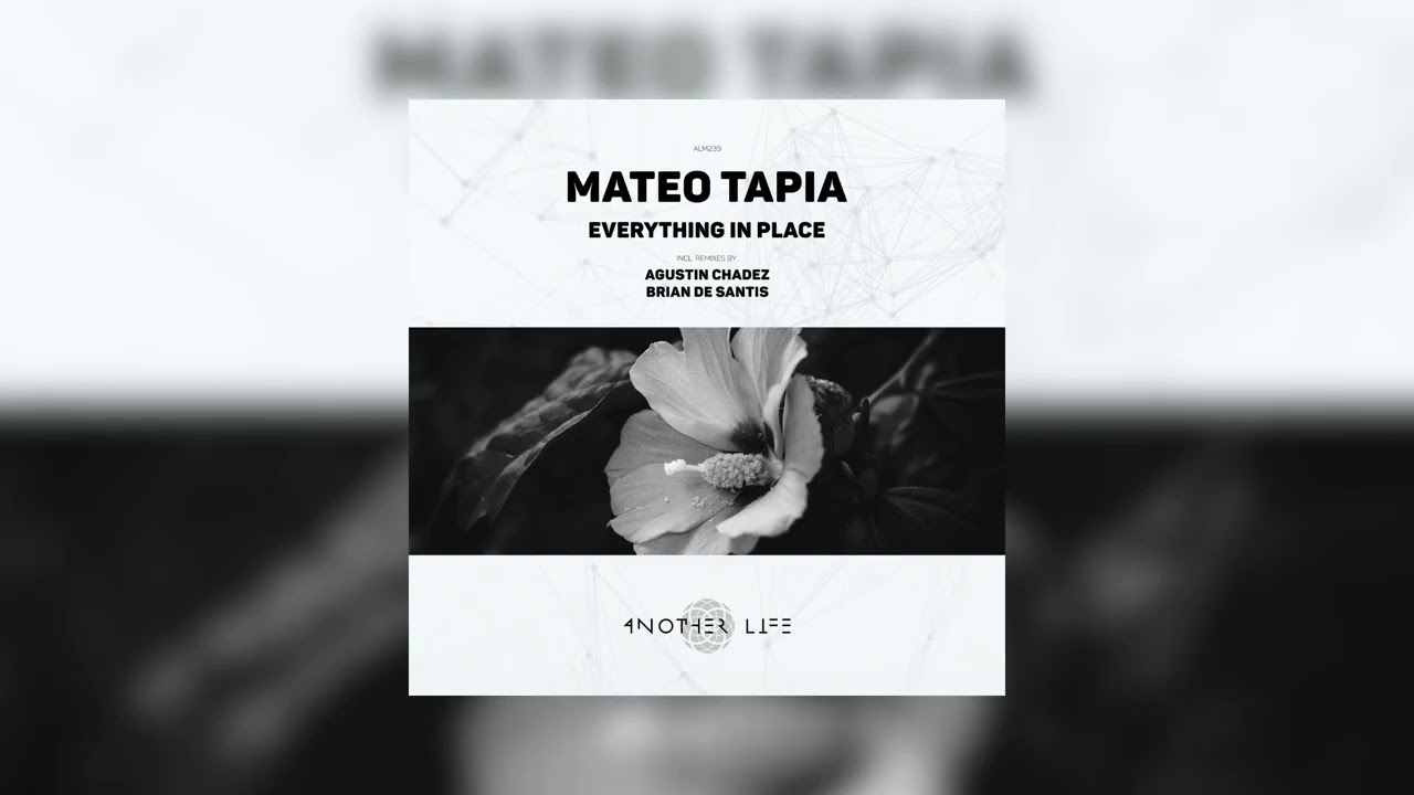Mateo Tapia - Everything in place (Original Mix) [Another Life Music]