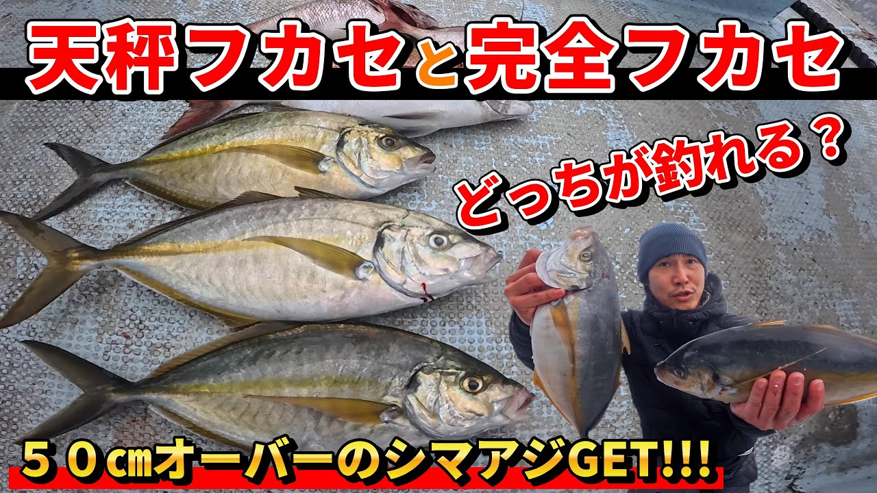 【シマアジ釣り】串本カセ釣りで、幻の天然シマアジを釣る!!!楽しすぎた!!!