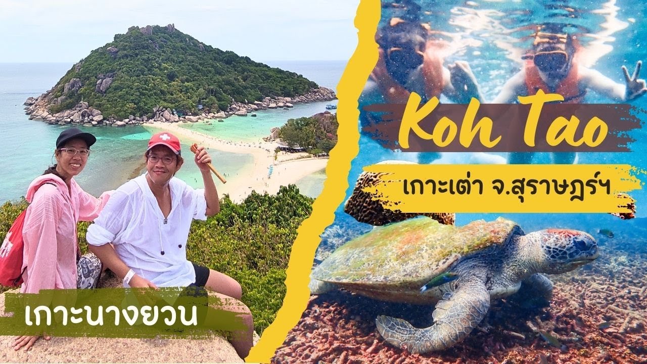เกาะนางยวน เกาะเต่า จ.สุราษฎร์ ทัวร์ดำน้ำตื้น | Koh Tao, Thailand | GoNoGuide Go ep.397