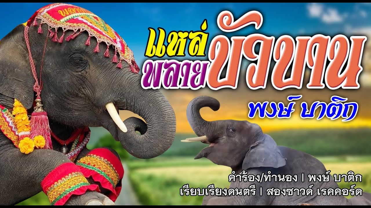 แหล่พลายบัวบาน | พงษ์ บาติก