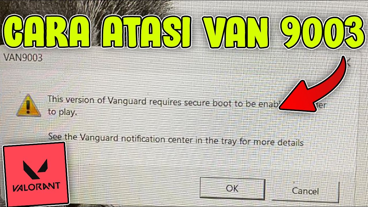 How to Solve the Van9003 Valorant Problem!!