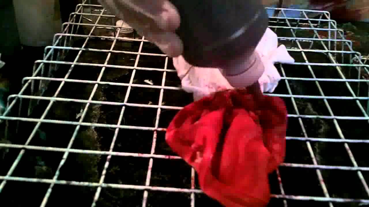 How to Tie Dye Lightning Bolt