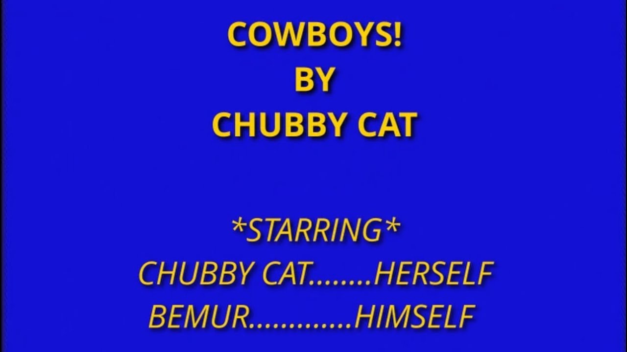 Cowboys! - Chubby Cat
