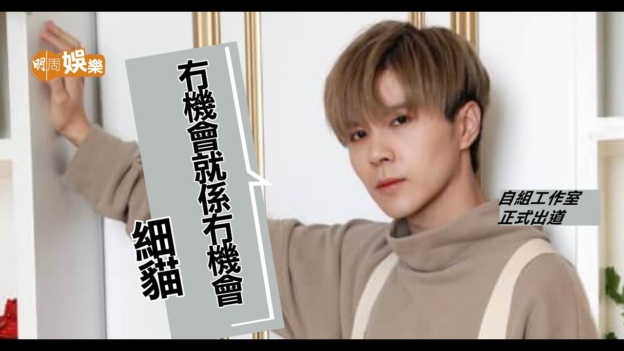 細貓練習生的辛酸