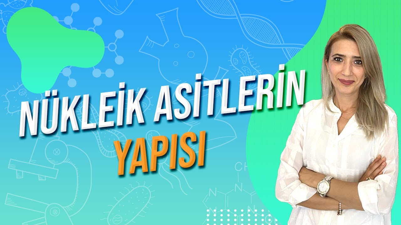 NÜKLEİK ASİTLERİN KEŞFİ VE YAPISI | Seda Hoca Biyoloji 🧬#ayt2024
