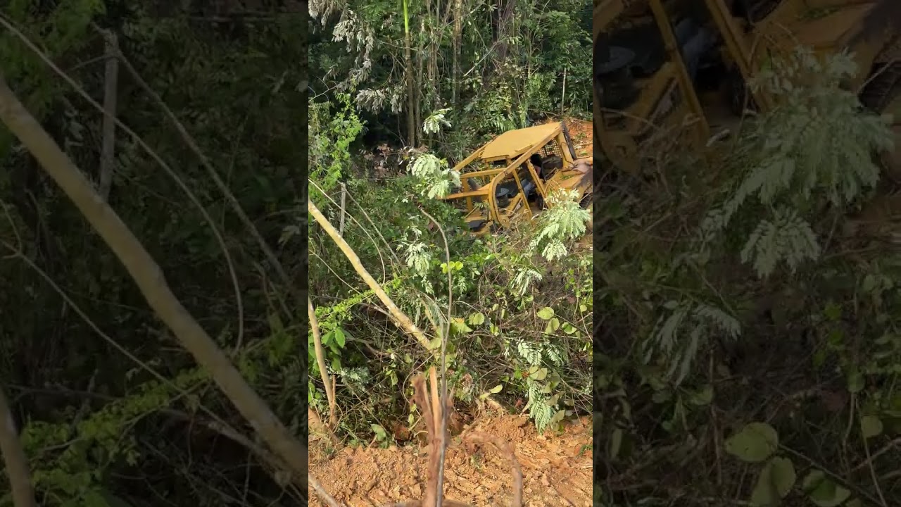 D6R XL Bulldozer Clearing Oil Palm Land in Hilly Areas