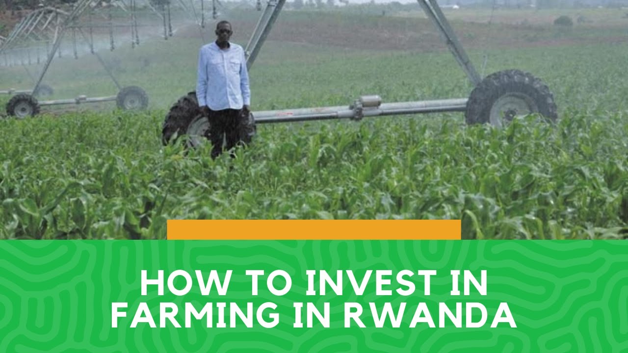 HOW TO INVEST ...LETS LOOK AT FARMING IN RWANDA