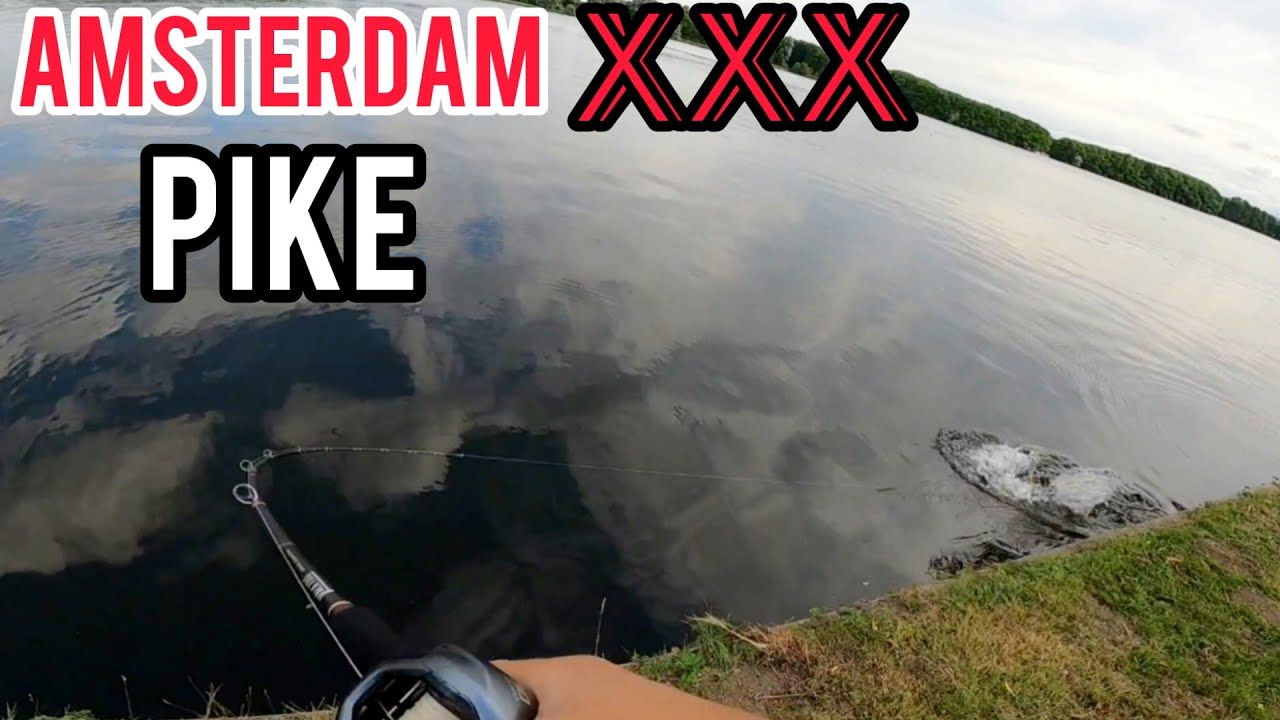 pike fishing AMSTERDAM