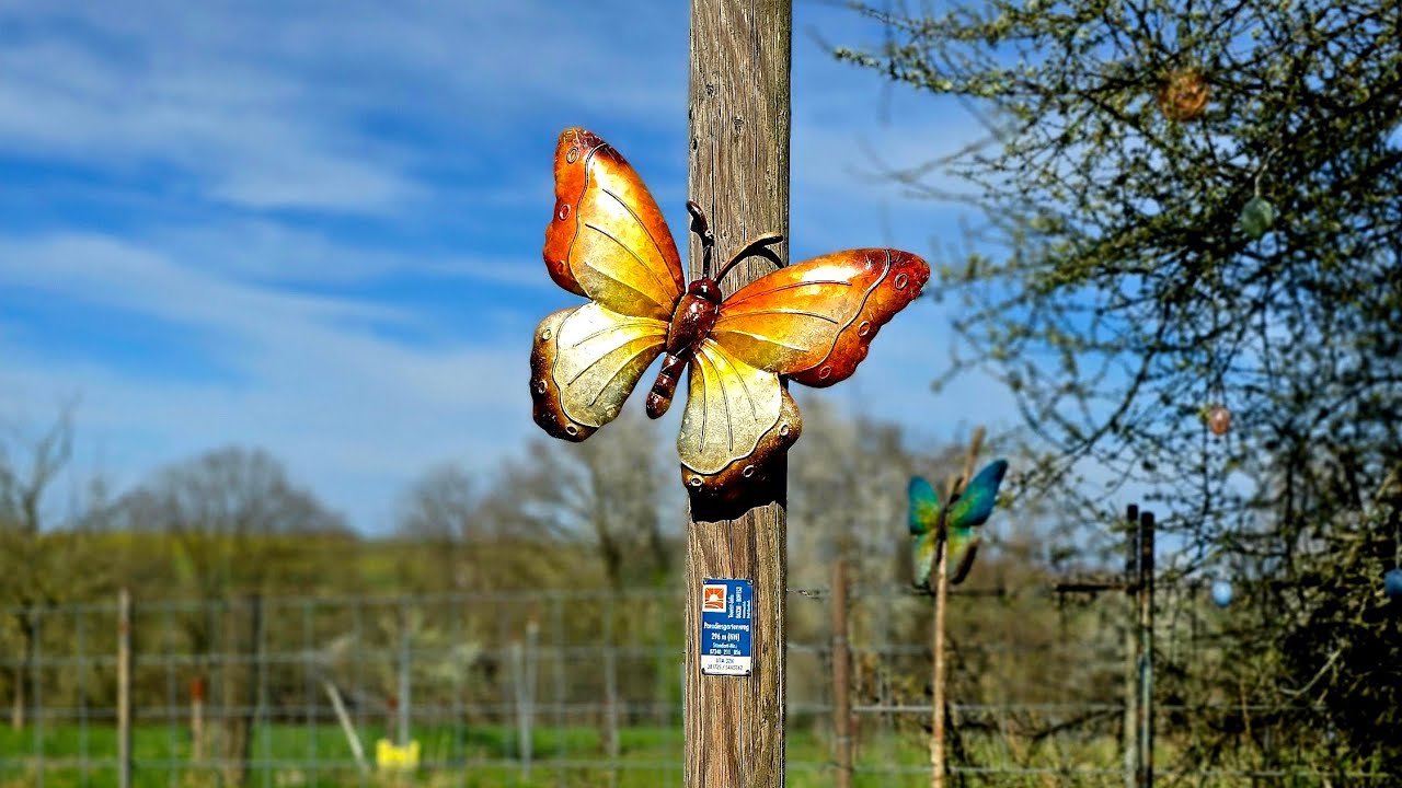 🍏🍎Paradiesgartenweg 🍏🍎Hornbach🍏🍎Rheinland-Pfalz 🍏🍎 11,5 km 🍏🍎Premiumwanderweg 🍏🍎