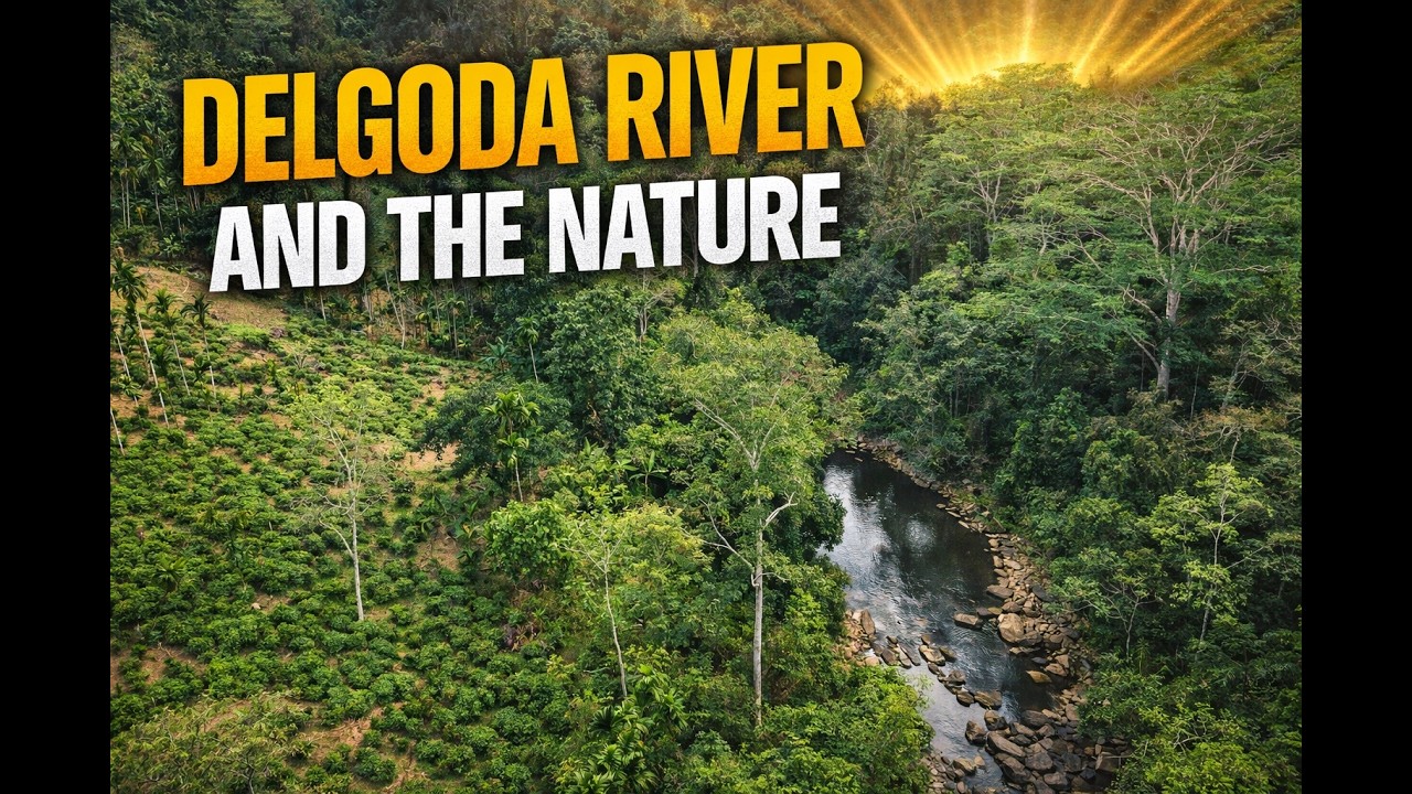 You Won’t Believe This! 😲 | දෙල්ගොඩ ගඟේ සුන්දර දසුන්
