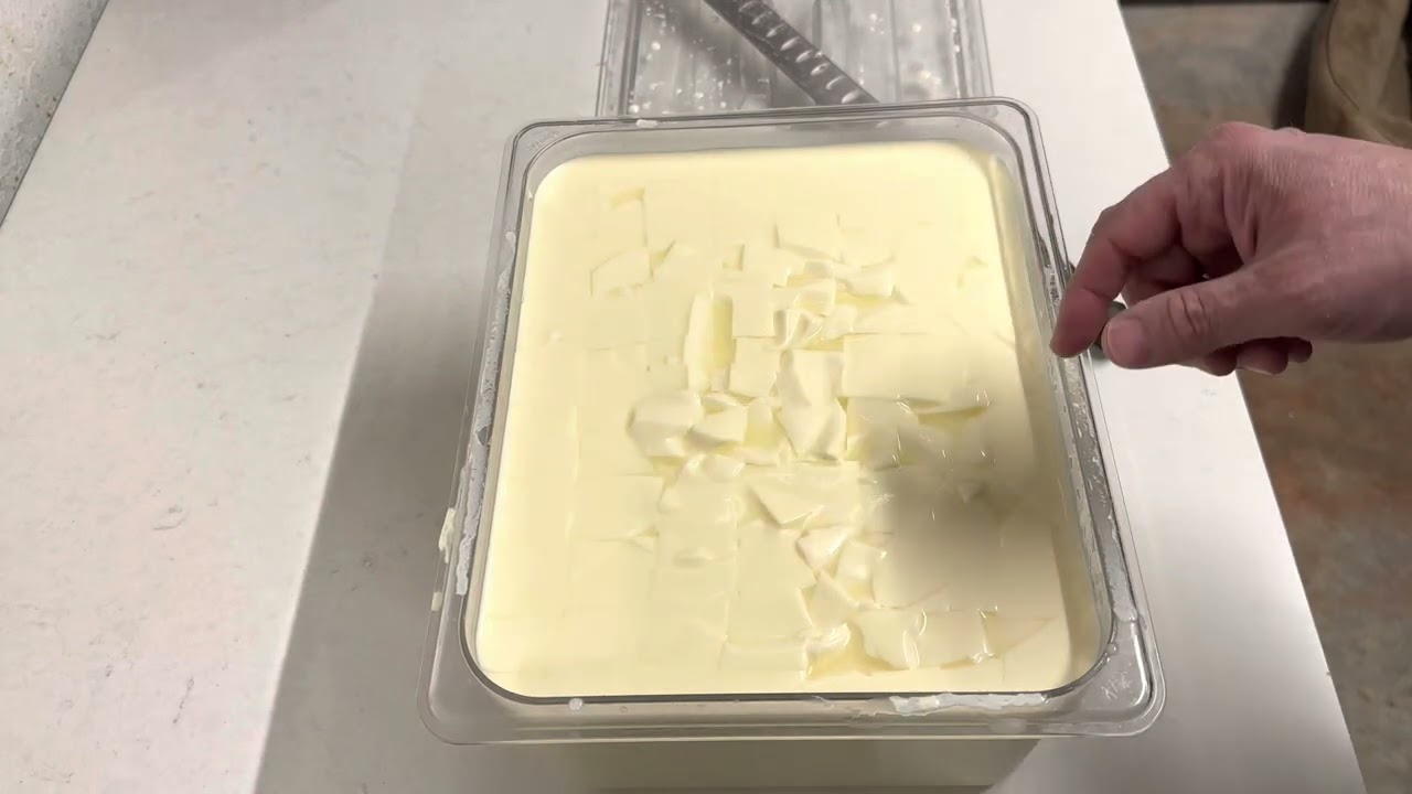 Queso Mozzarella Casero por método de fermentación natural