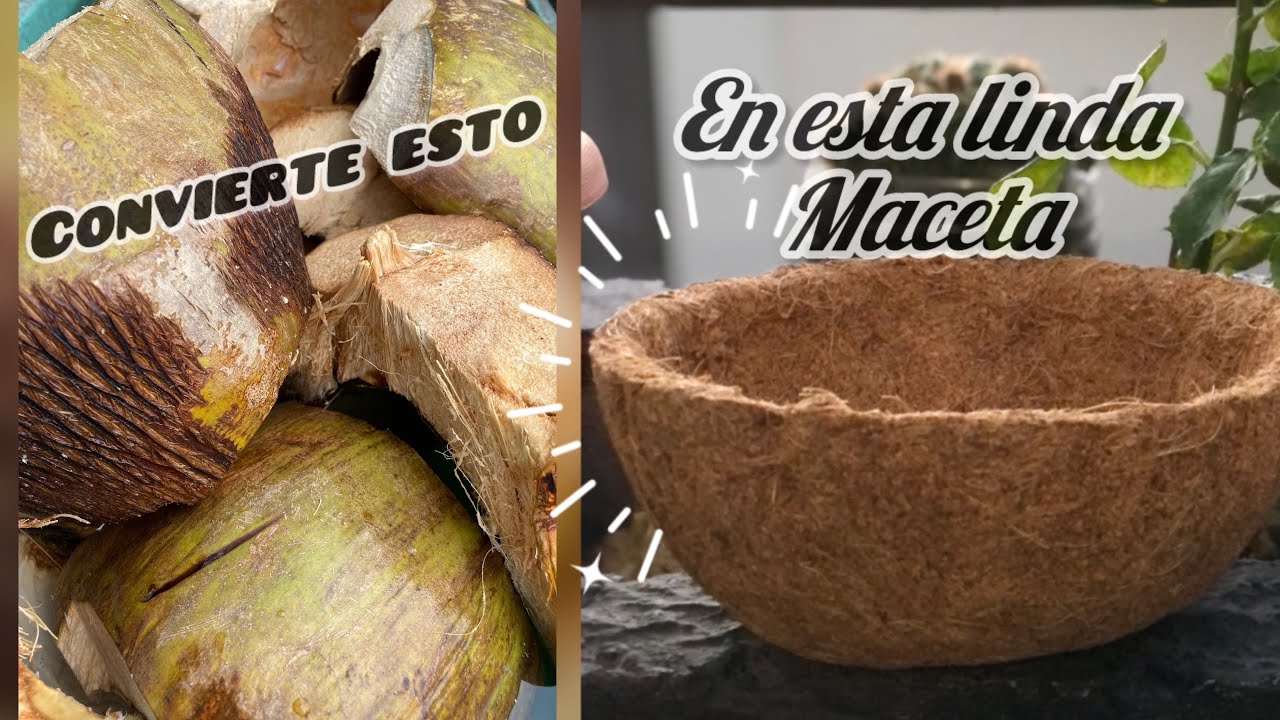 COMO HACER MACETAS DE FIBRA DE COCO/ f&aacute;cil y econ&oacute;mico