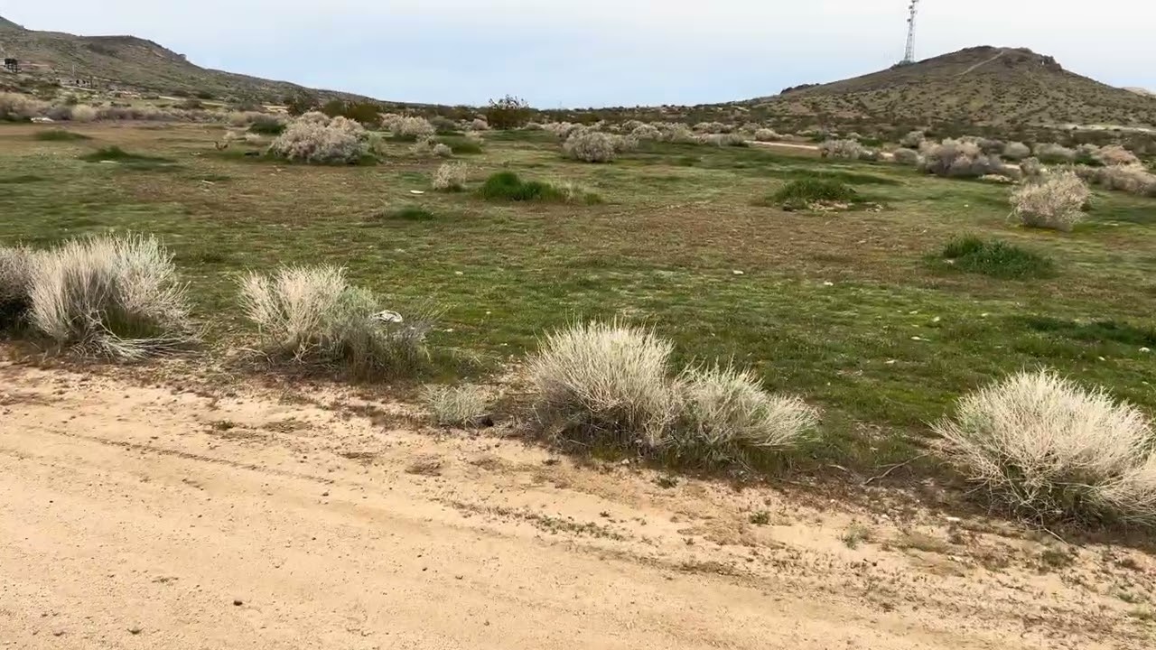 Así nos recibe el desierto 🌵 