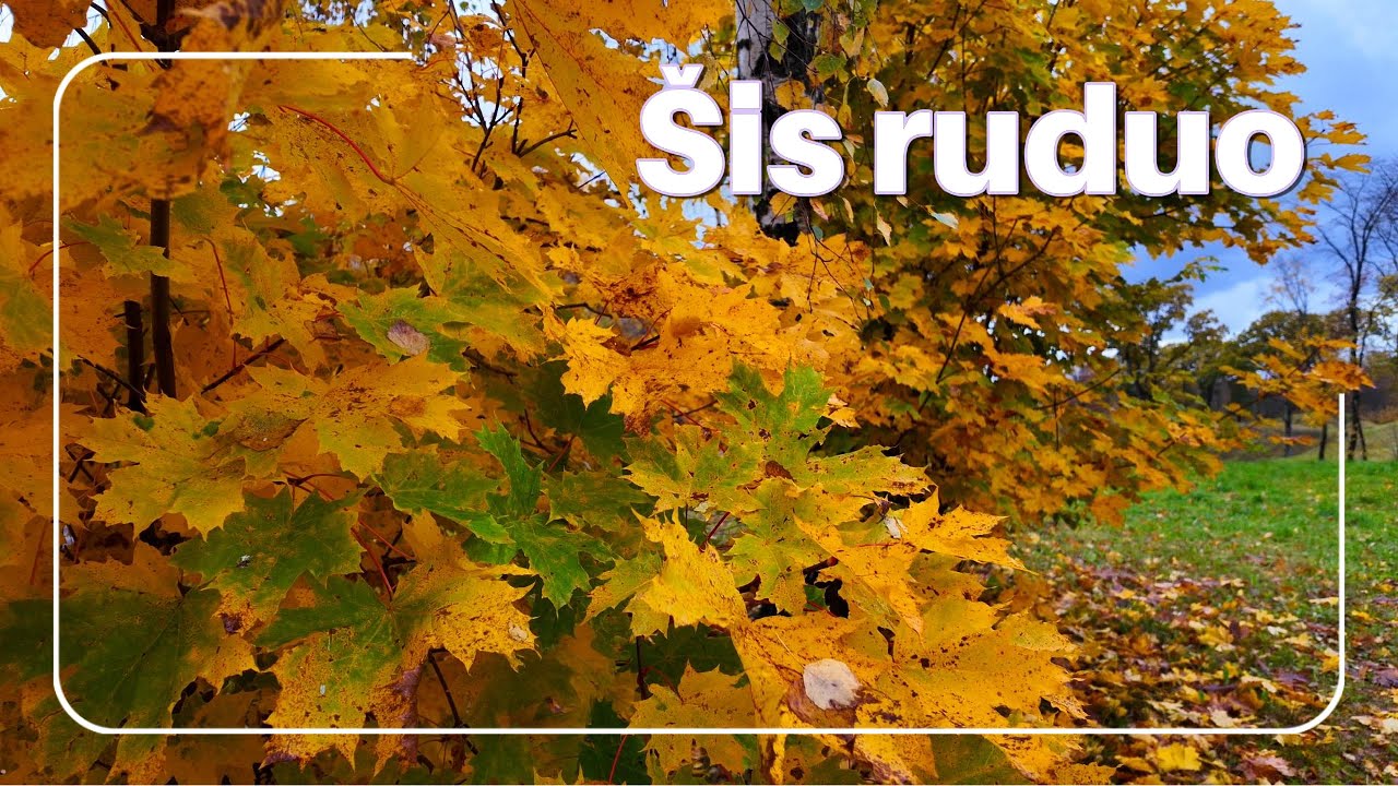 Tabasco – „Šį rudenį“ | Rudens vaizdai iš drono 4K