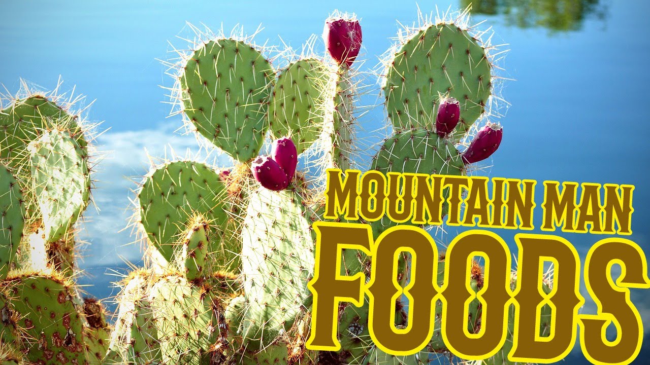 12 Mountain Man Foods Documented by Rufus Sage