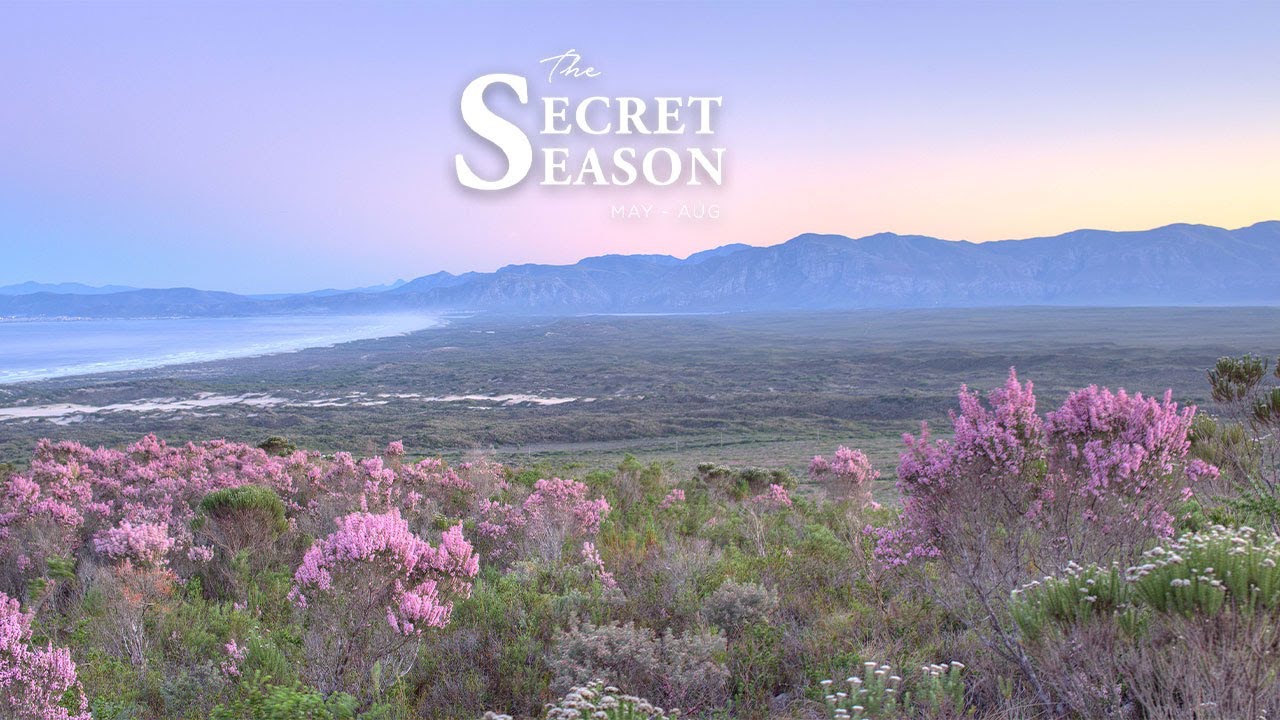 The Secret Season | May to August | Grootbos Private Nature Reserve