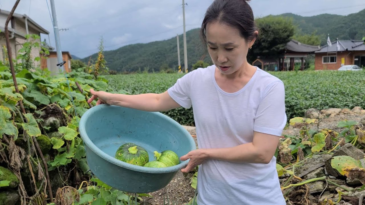 전라도 산골딸들이 만드는 여름 텃밭야채를 가장 간단하게 먹는 방법