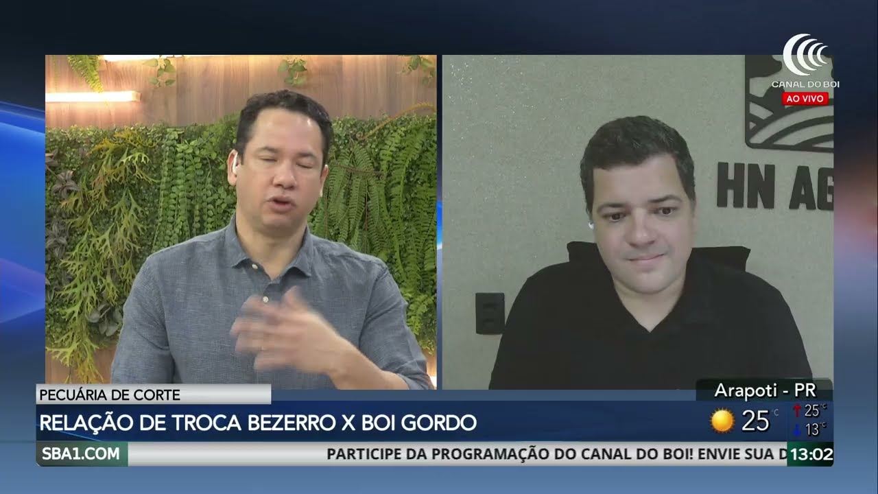 Arroba do boi gordo sobe em fevereiro com oferta mais ajustada