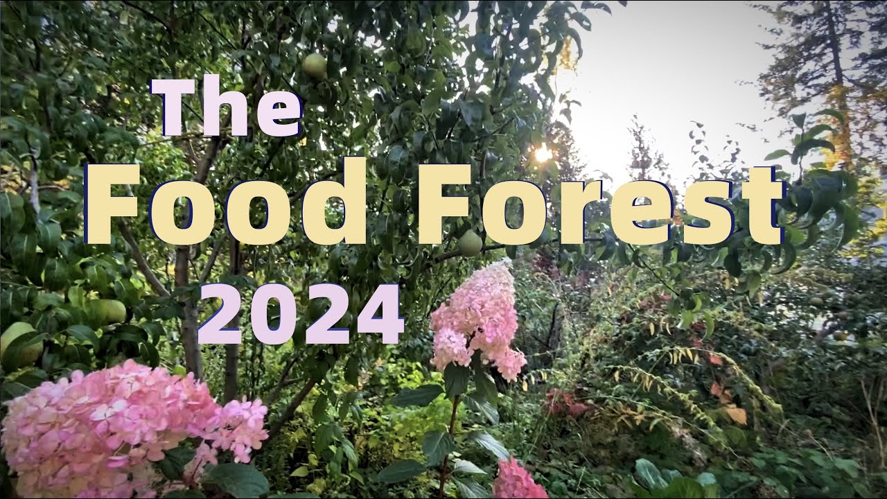 The Food Forest April To October 2024