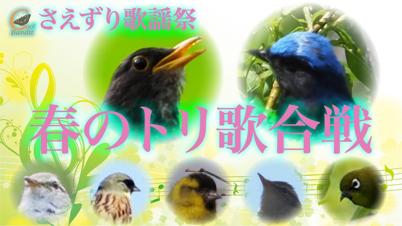 さえずりオリンピック！春のトリ歌合戦 さえずり歌謡祭♬リモートバードウォッチング