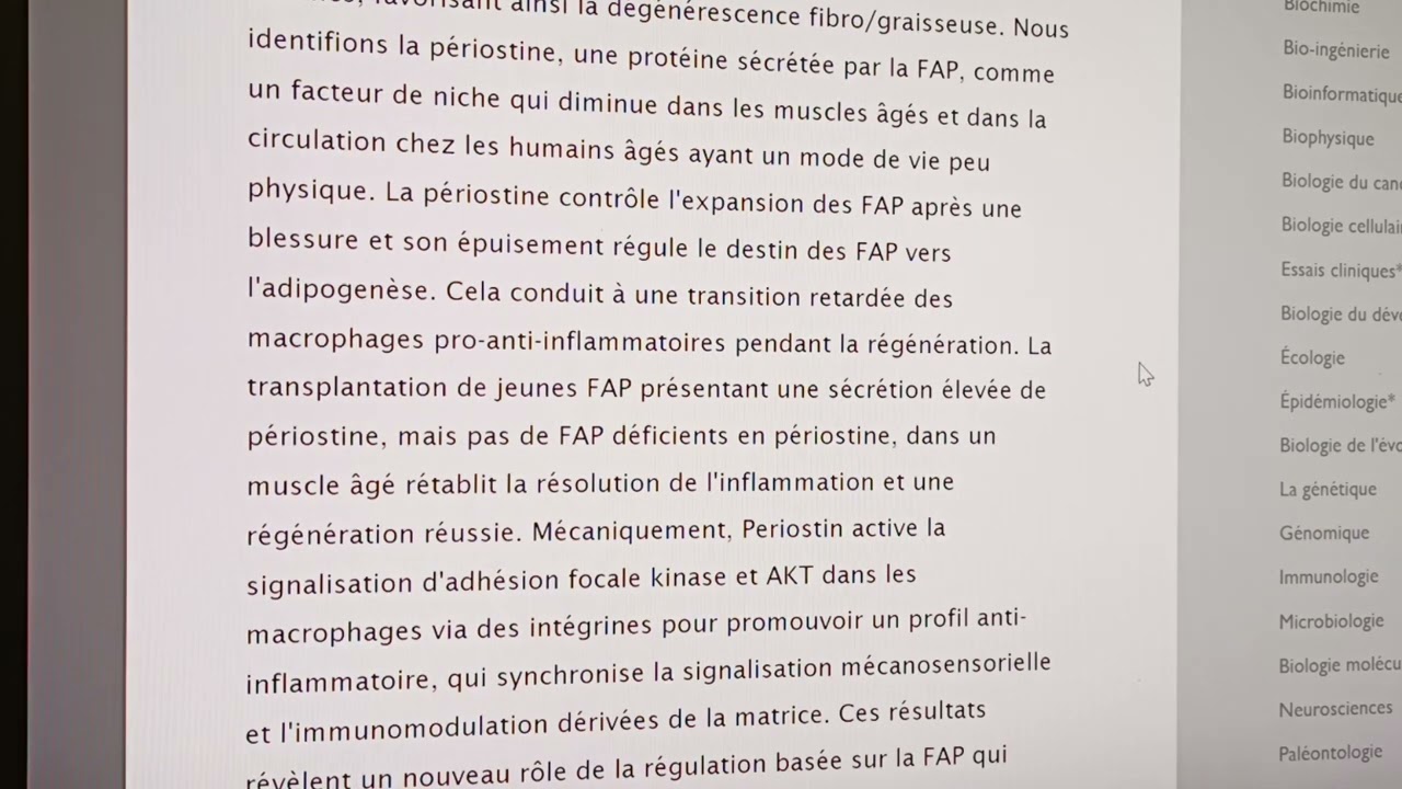 Pas d'hypertrophie si ton gras ne se transforme pas en muscle