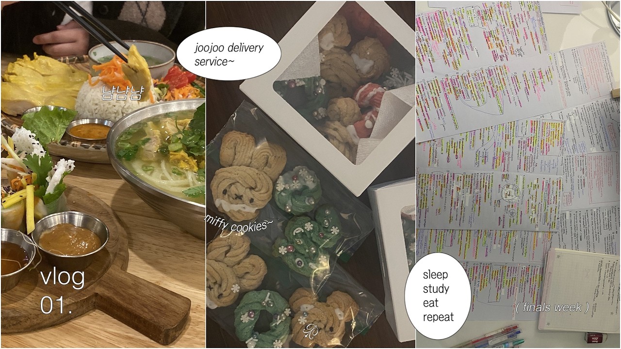 vlog 01. my first vlog | hi..? uoft student finals week, baking, sleep, study, eat, repeat ‧ ˖˚⊹