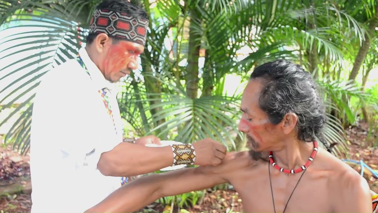 Comitiva Vari Vena ‐ Kambo